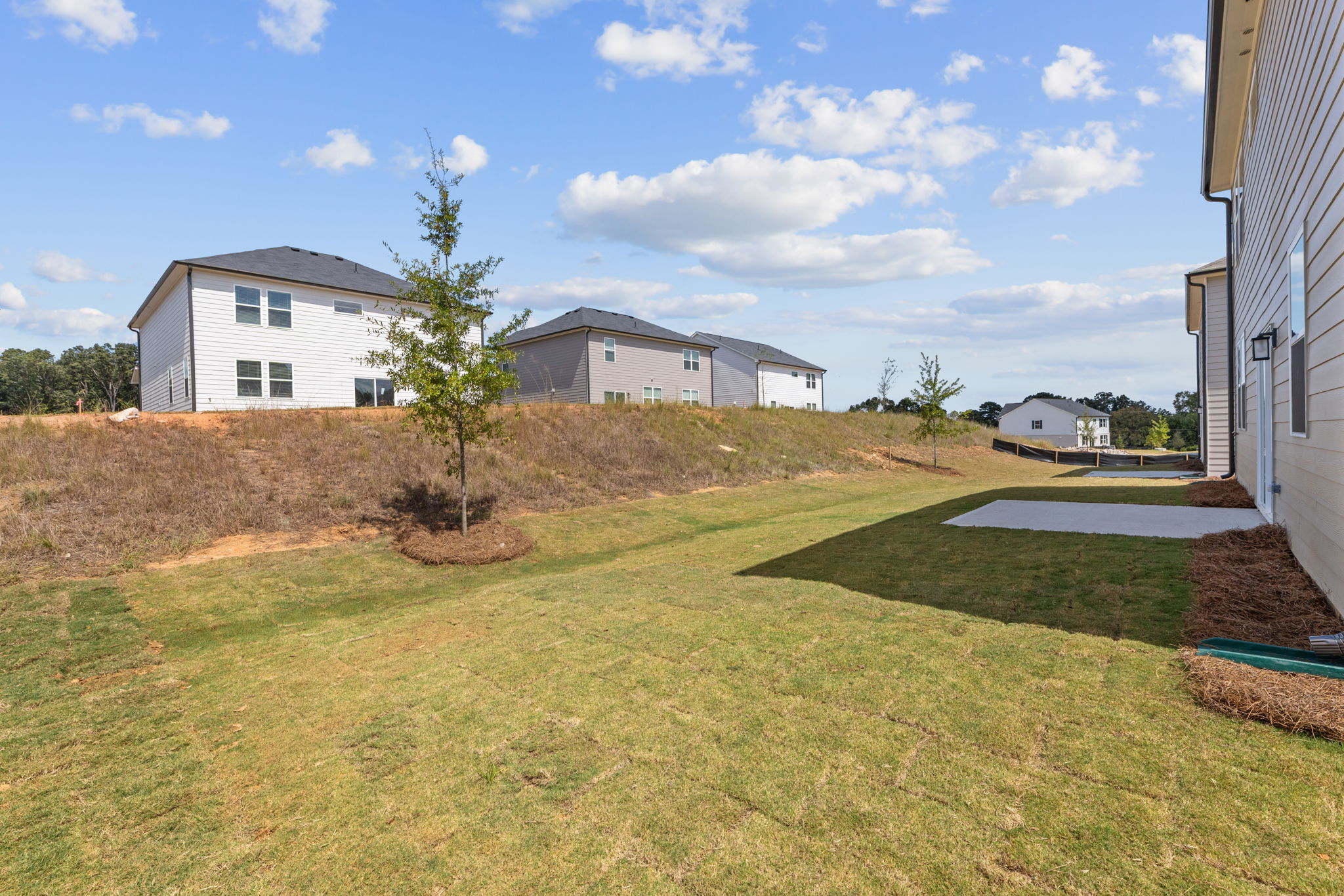 A large green lawn with a few buildings in the background.