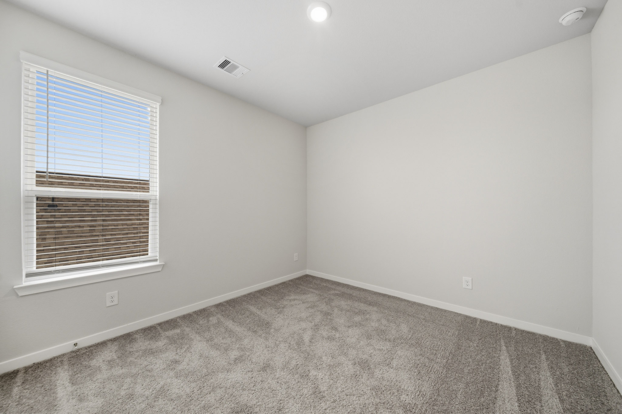 A room with a carpet and windows.