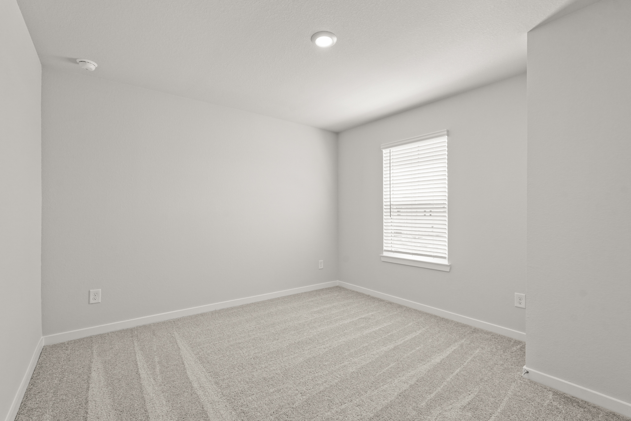 A room with a window and a rug.