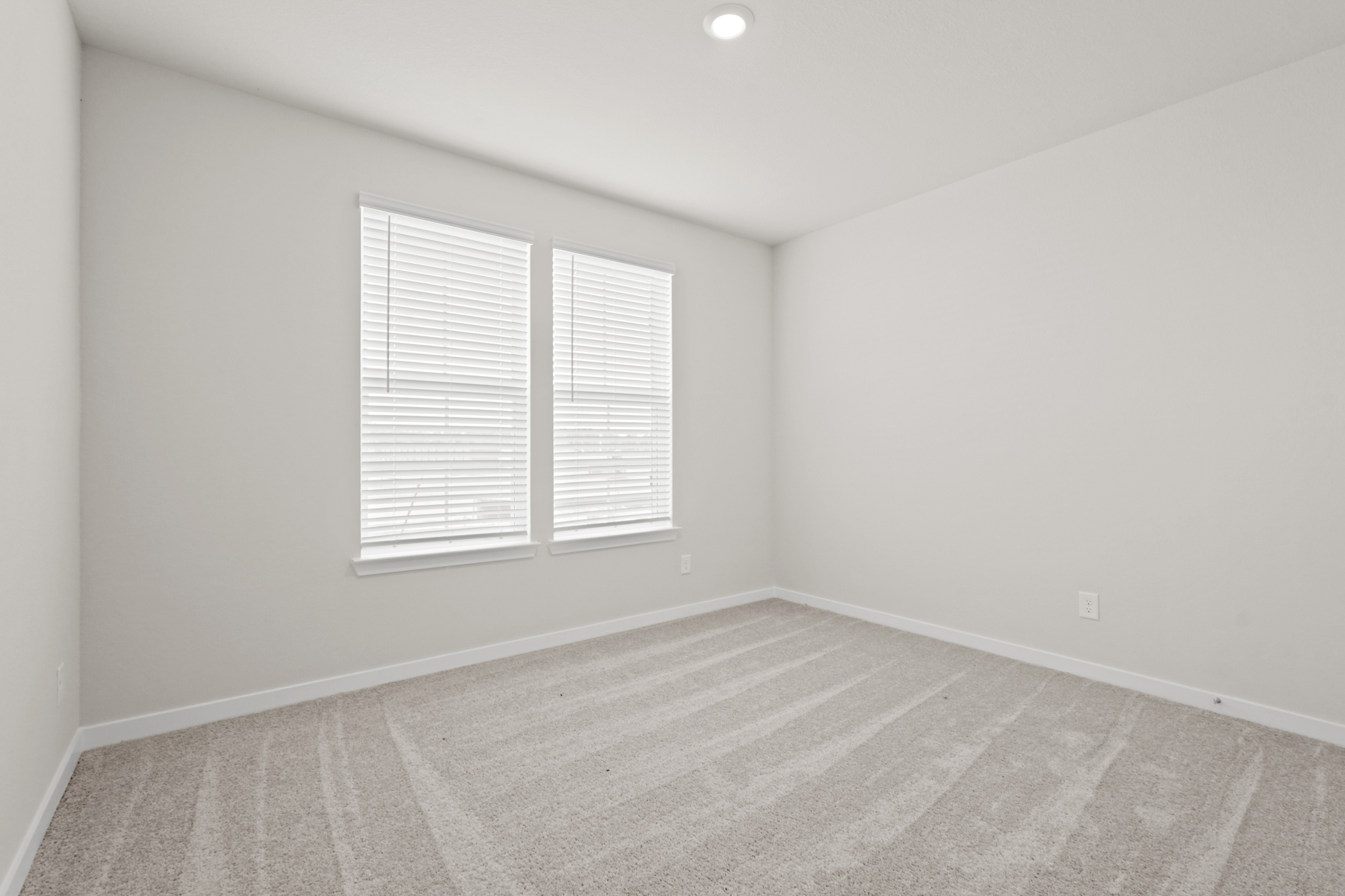 A room with a rug and windows.