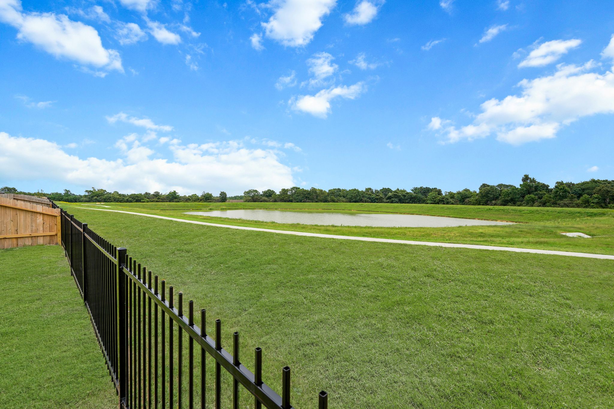 A green field with a fence.